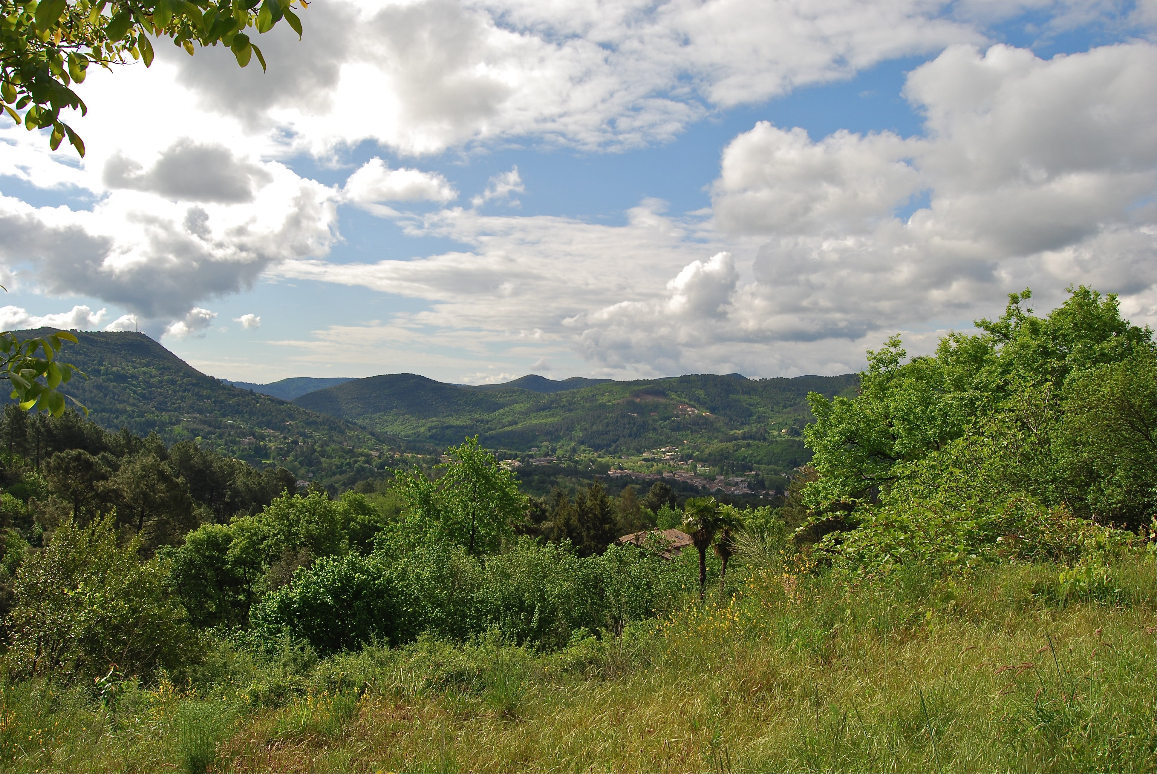 Paysage-de-nature-Cévenole Paysage-de-nature-Cévenole